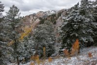 IMG_0731.jpg