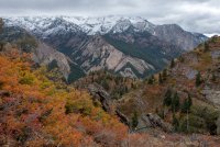IMG_0740.jpg