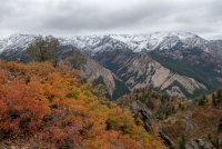 IMG_0747.jpg