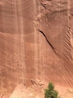 IMG_1335.JPG