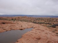 DSC08868.jpg