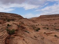DSC08896.jpg