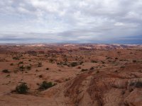 DSC08898.jpg