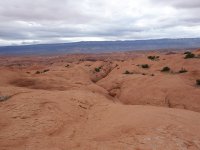 DSC08904.jpg