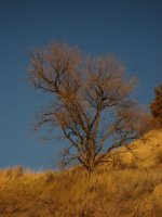 IMG_5507.JPG