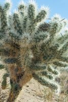 JTNP-25.jpg