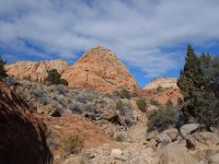 DSC09385.jpg
