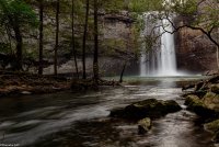 IMG_0581.JPG