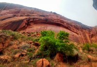 0416191701_HDR~2.jpg