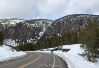 IMG_2527.jpg