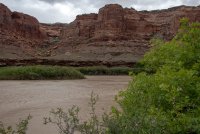 IMG_1786.jpg