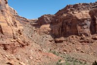 IMG_1830.jpg