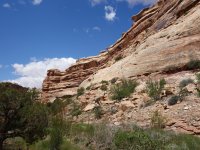 DSC01085.jpg