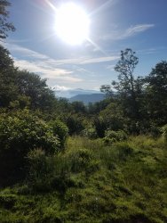20190626_070056.jpg