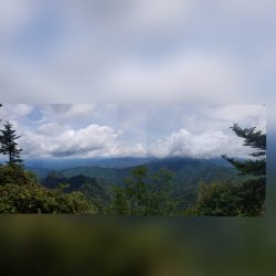 PhotoEditor_20190629_102032630.jpg