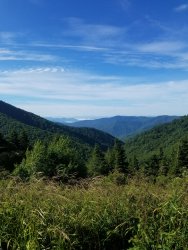 20190626_075707.jpg