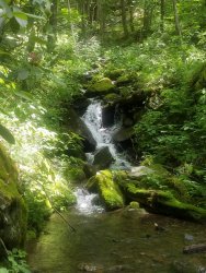 20190627_123544.jpg