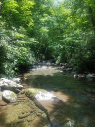 20190626_123214.jpg