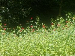 20190626_115442.jpg