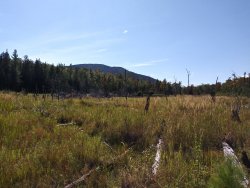 20190906_134246_HDR.jpg