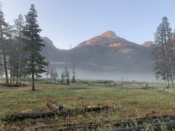 9C3C60CB-7307-4F5B-A7F2-BF5135D30734.jpeg