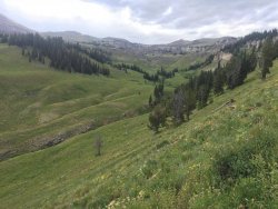 IMG_8473.JPG