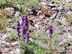 20190612_123155.jpg