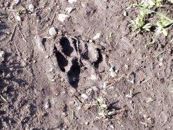 20190613_084628.jpg