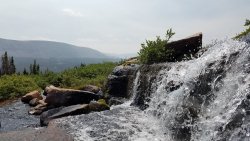 20190907_125109.jpg
