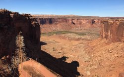 IMG_4220.jpg