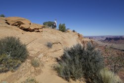 IMG_4483.jpg