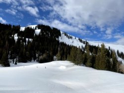 IMG_2419.jpg