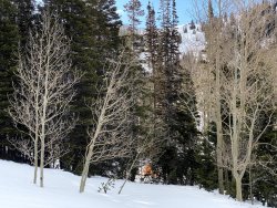 IMG_2423.jpg