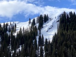 IMG_2439.jpg