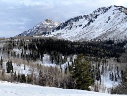 IMG_2583.jpg