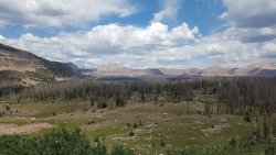 20200801_145340.jpg