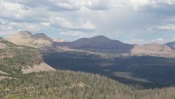 20200801_150537.jpg