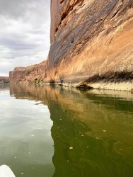 IMG_2789.jpg