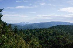 untitled (40 of 44)-9.jpg