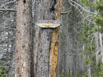 A3708786-F80C-4494-ABA7-D131A38D80F2.jpeg
