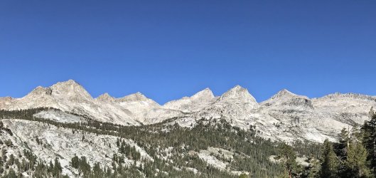 A5B76994-BEC6-456B-9D22-178FFBDE938D_1_201_a.jpeg