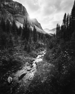 FOMA_400_C45_G-Pano-Edit.jpg