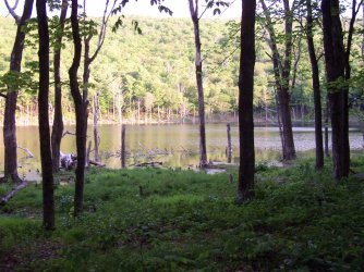 100_6519.JPG