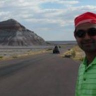scientistinthewild