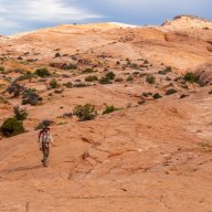 desertvic