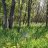 owyhee