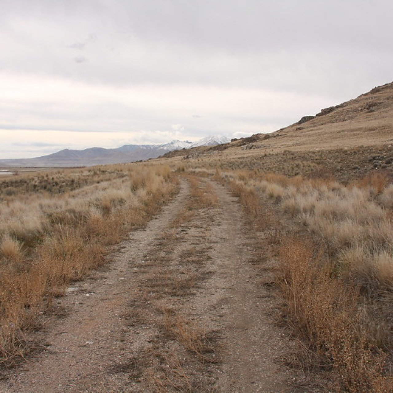 Thread 'South Island Trail, Antelope Island - February 16, 2026'