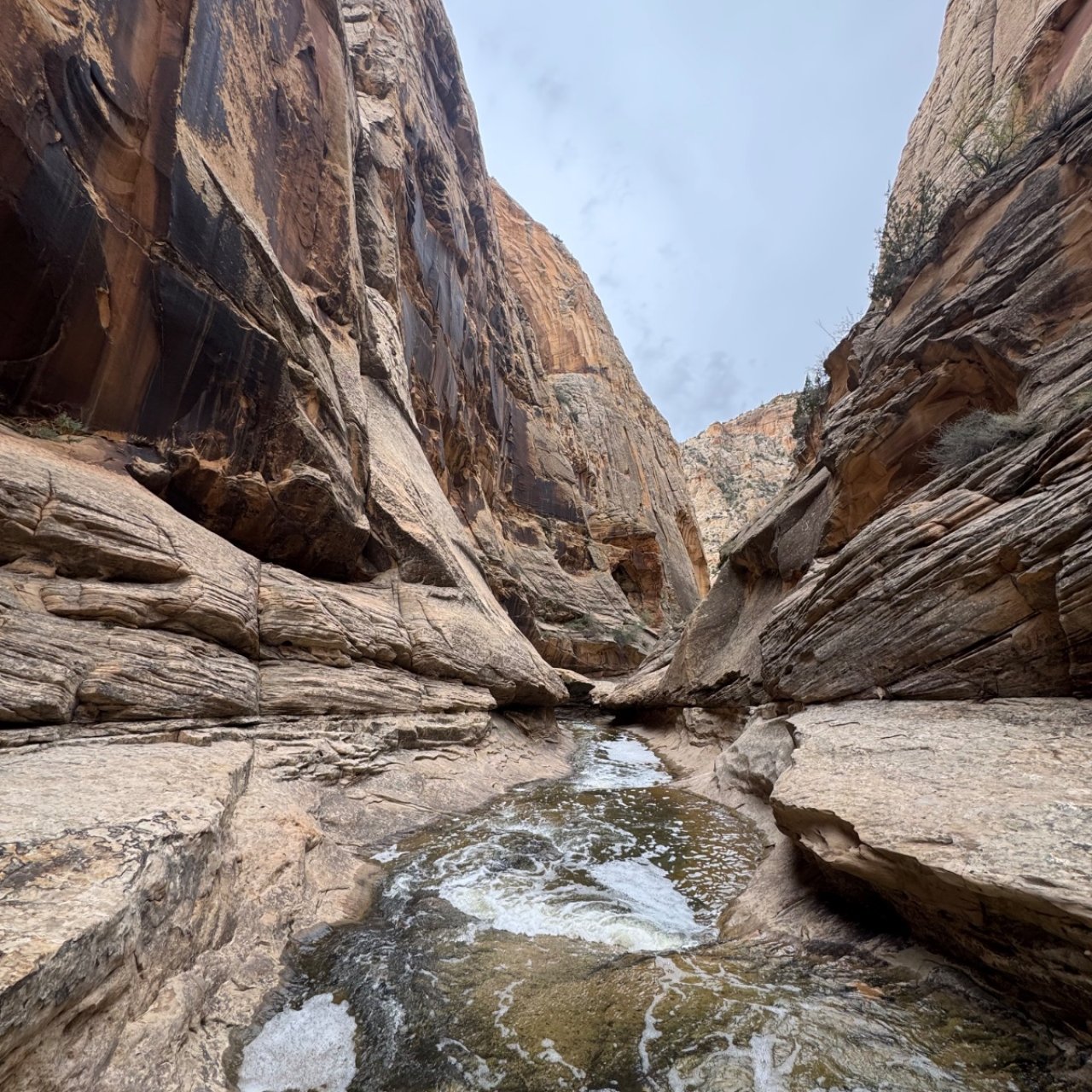 Thread 'Death Hollow Loop from upper escalante trailhead'