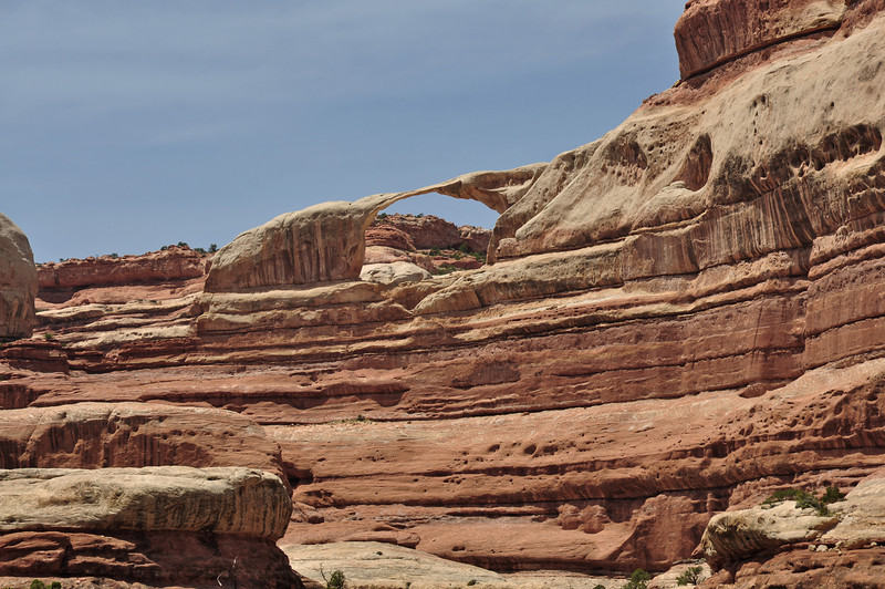 DSC0182-L.jpg