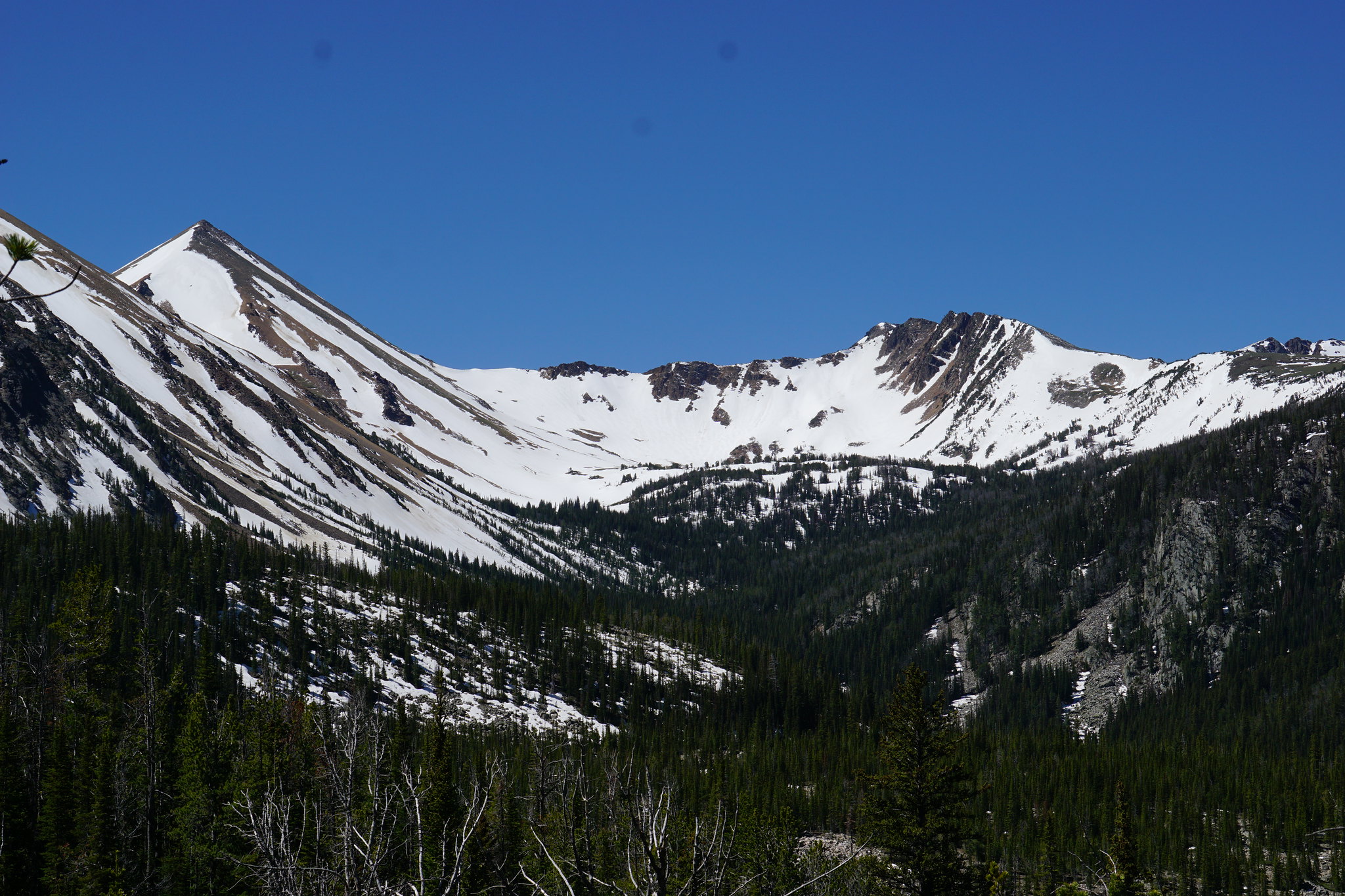 40987979990_a459f995b7_k.jpg